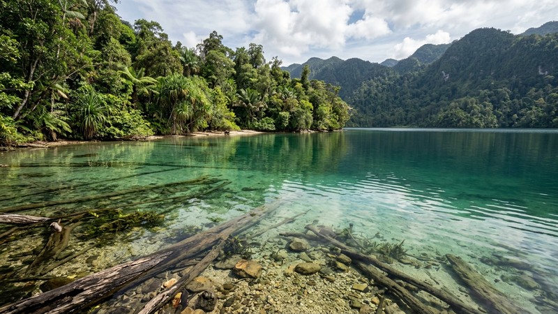 un lago tropical cristalino y tranquilo en Papúa, con vegetación en las orillas, troncos sumergidos y fondo de arena y cantos rodados