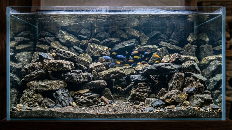 un montaje de acuario con roca ígnea y metamórfica apilada formando cuevas y oquedades hasta media altura, estilo biotopo del lago Malawi, agua muy cristalina, sin peces en primer plano