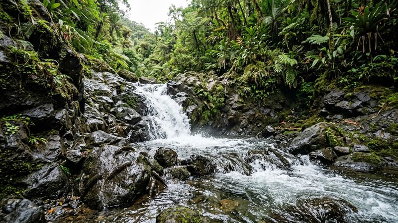 un arroyo de montaña de aguas rápidas y transparentes bajando entre rocas volcánicas y una pequeña cascada, biotopo natural de los gobios de río, vegetación tropical al fondo