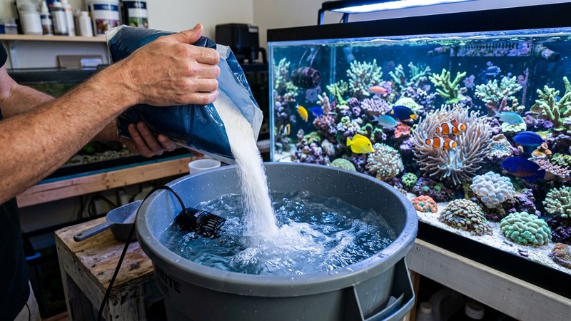 unas manos vertiendo sal marina en polvo dentro de un cubo con agua y una pequeña bomba de circulación, junto a un acuario marino de arrecife vibrante con corales y peces payaso al fondo, agua cristalina azulada