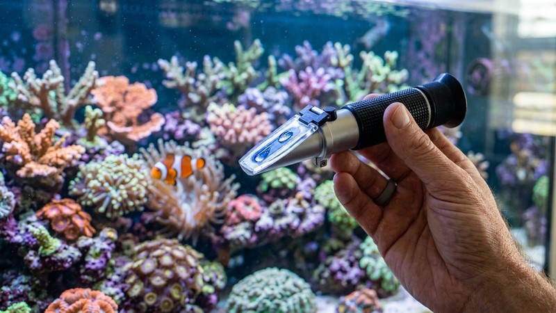 una mano sosteniendo un refractómetro a contraluz con una gota de agua marina sobre el prisma, con un acuario de arrecife vibrante lleno de corales y un pez payaso desenfocado al fondo, agua cristalina azulada
