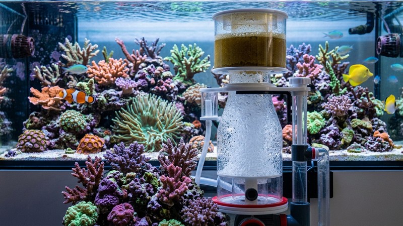 un espumador o skimmer de acuario marino en funcionamiento generando finas burbujas blancas, integrado en un sistema con corales vibrantes y peces payaso al fondo, agua cristalina azulada