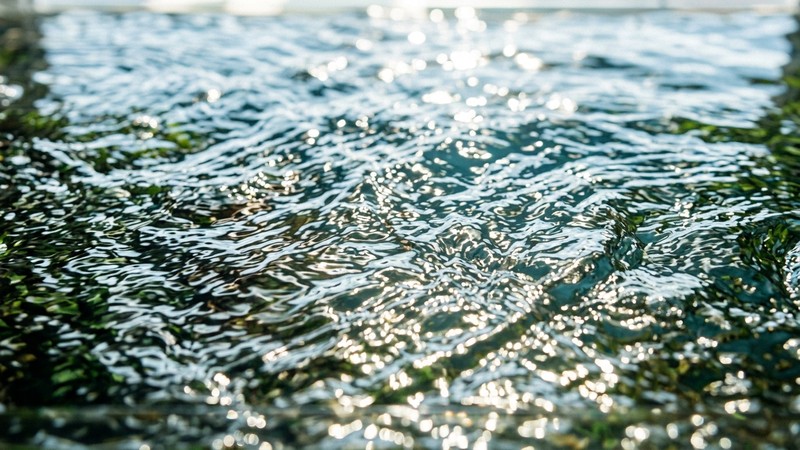 un primer plano de la superficie del agua de un acuario ondeando y rompiéndose en pequeñas olas con reflejos brillantes de luz