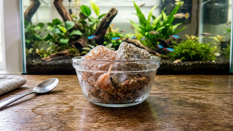 un pequeño cuenco de cristal con artemia y dafnia congeladas y granos de alimento para peces, apoyado sobre una mesa de madera junto a un acuario al fondo