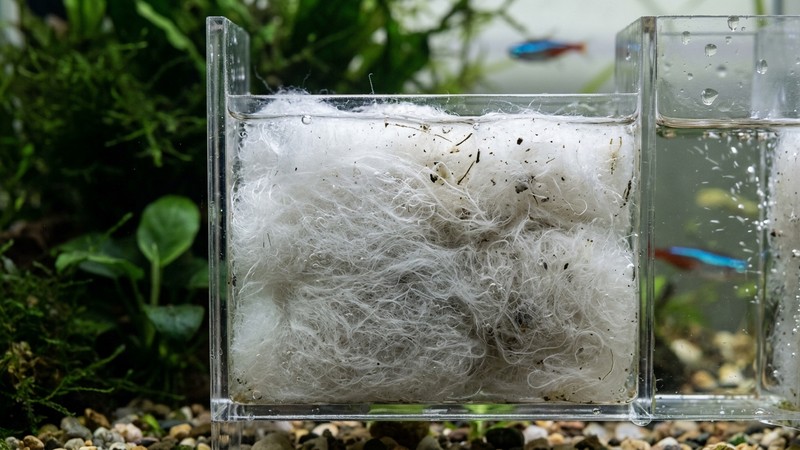 un primer plano de guata blanca y densa de acuario colocada dentro de un filtro con el agua clara alrededor